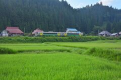 暮夏の情景 2