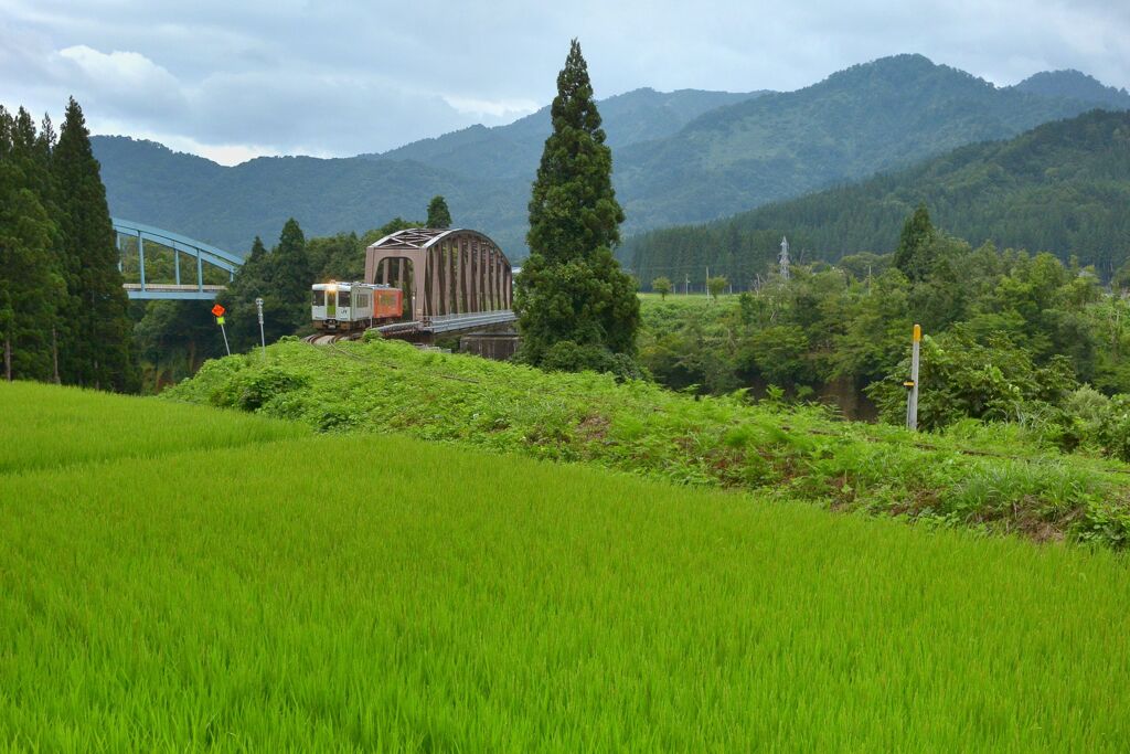 一雨毎ノ秋至ル