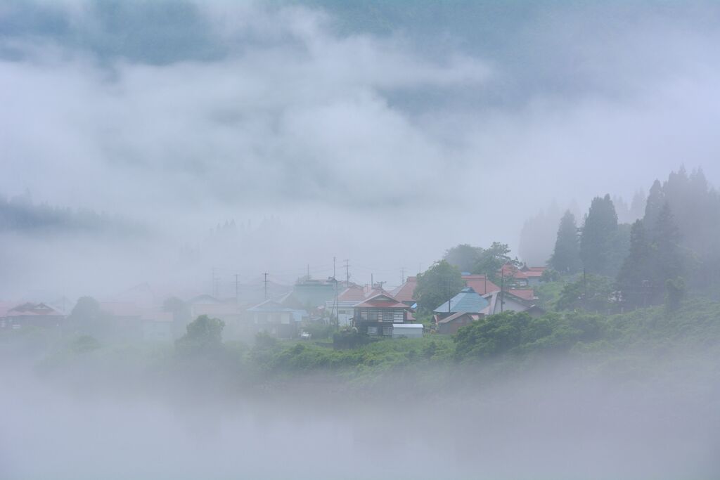 立ち迷う夏岸の霧幻