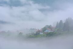 立ち迷う夏岸の霧幻