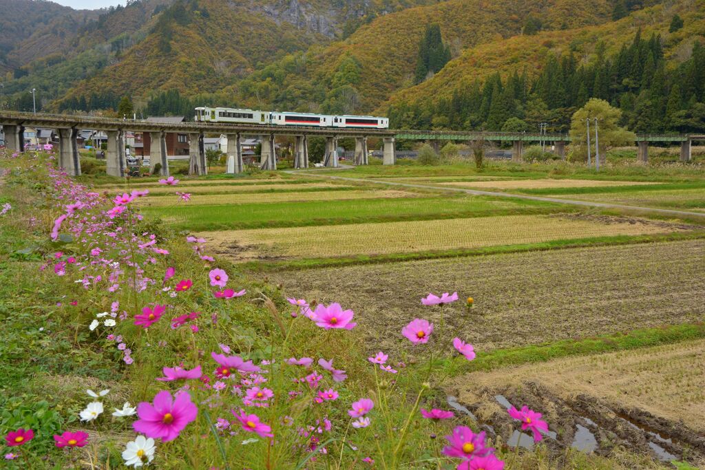 旅 誘