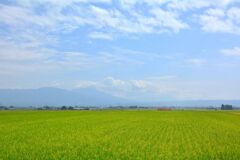 行合ひの空