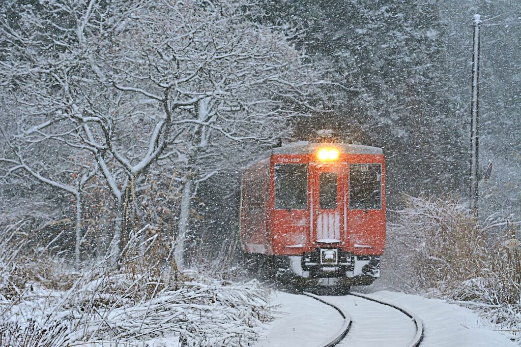 風雪の疎林を跨ぎて