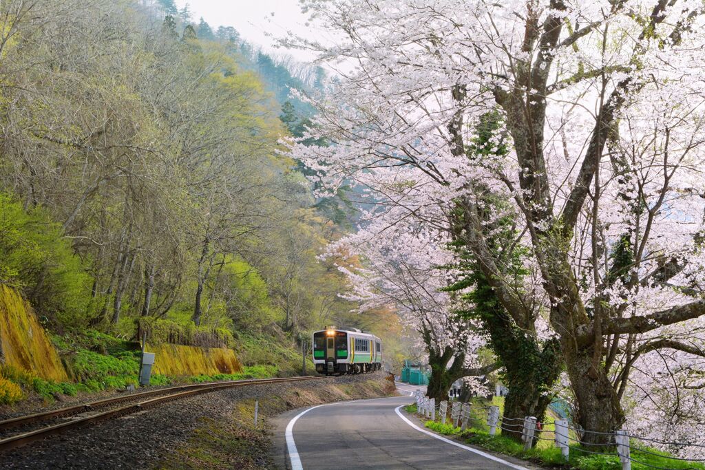 山覚める