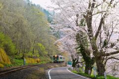 山覚める