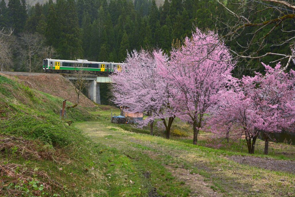 春は何処ぞの旅人や...