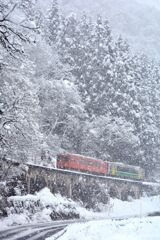 それでも雪は降る