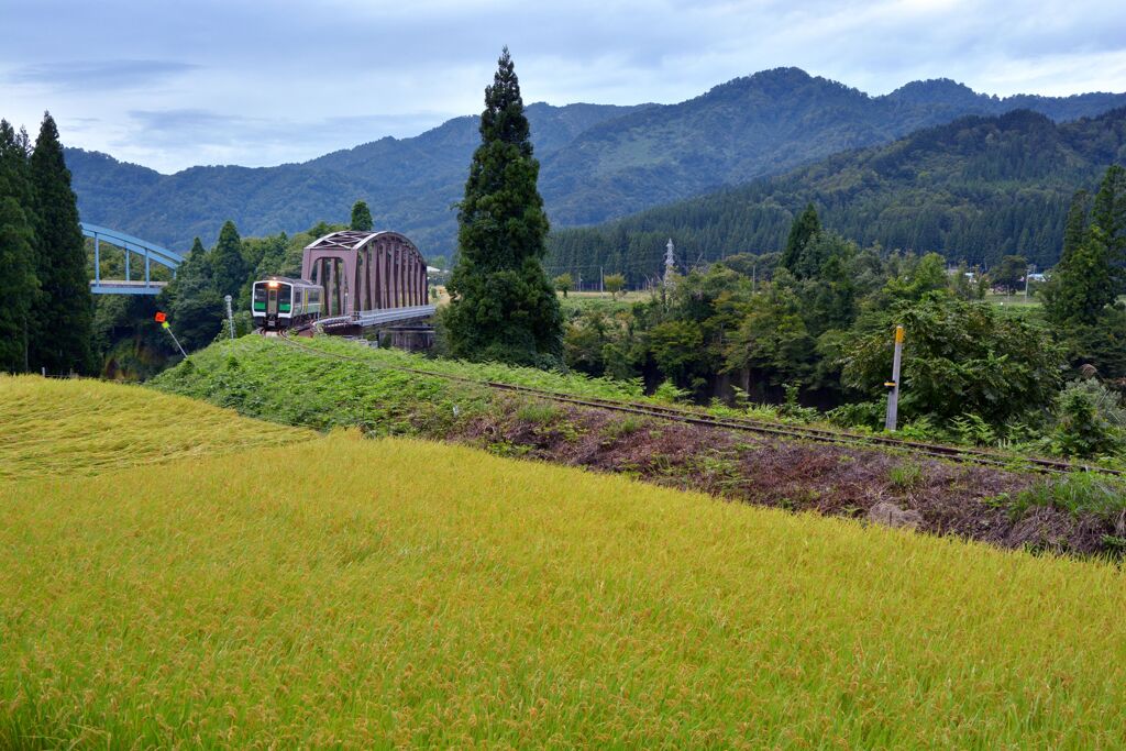 風の律