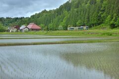 山背渡ル
