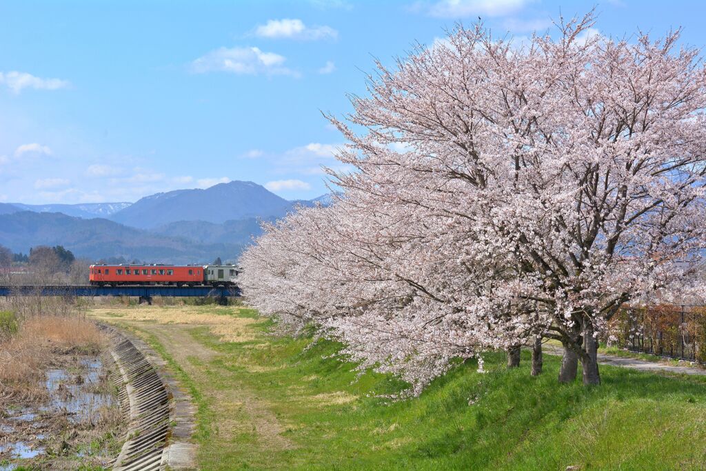 燦 々