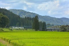 手を振れば汽笛応える只見線