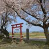 春は何処ぞの旅人や...