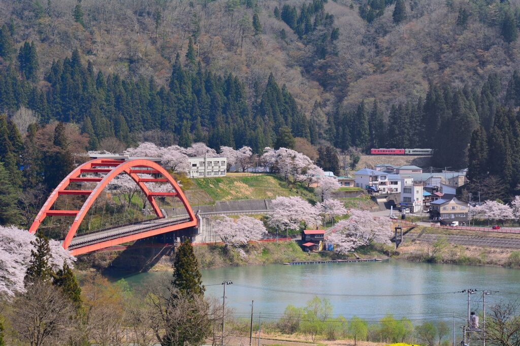 春 望