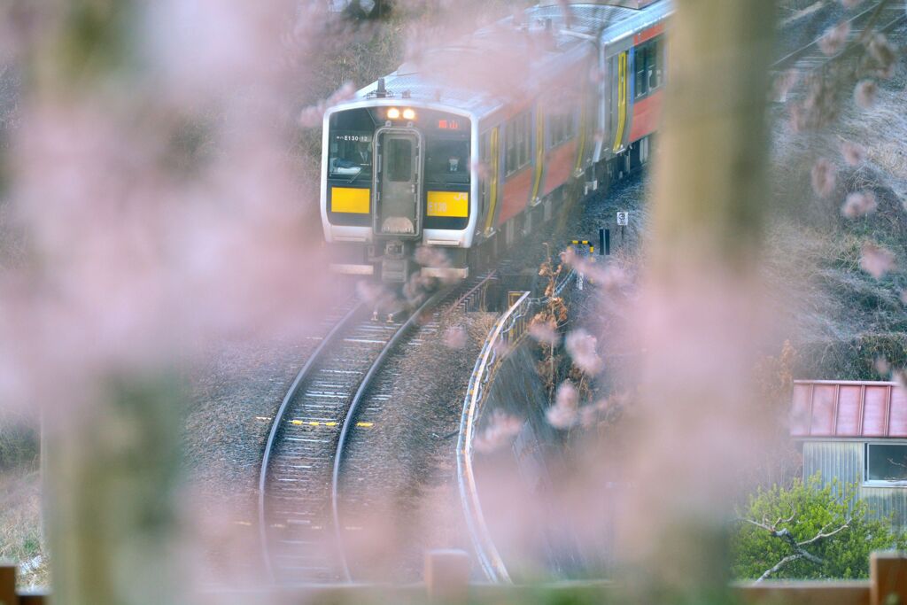春色一番列車