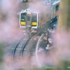 春色一番列車