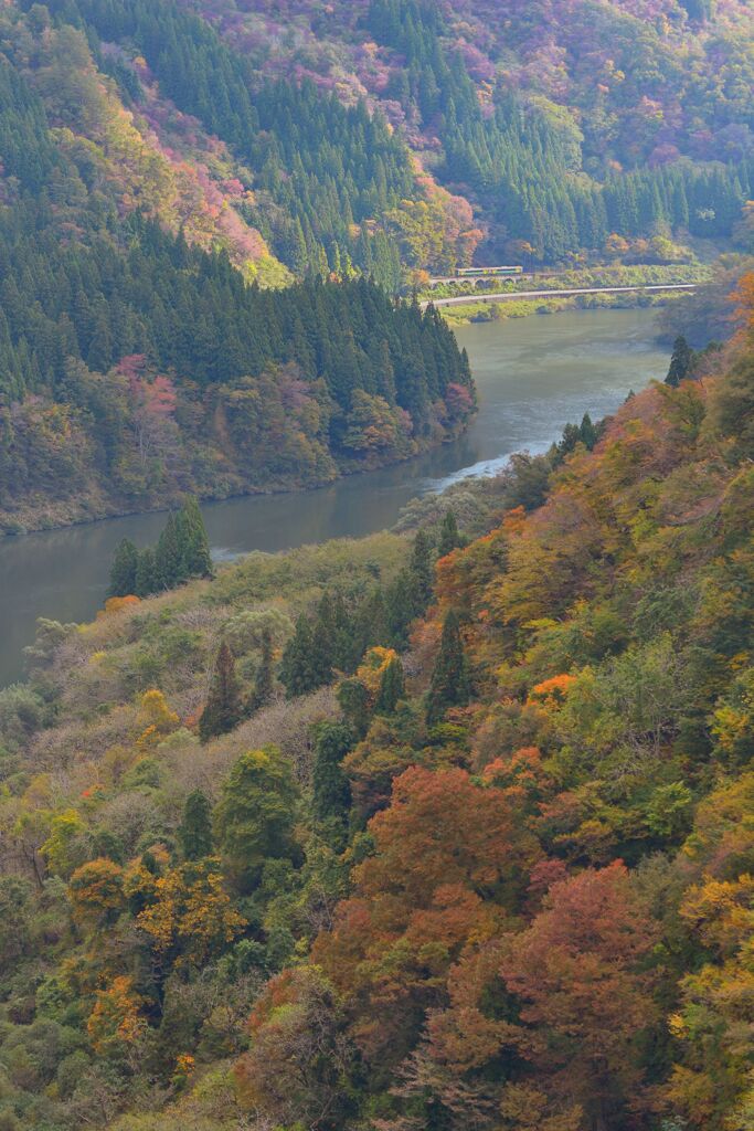 露寒に山は彩る