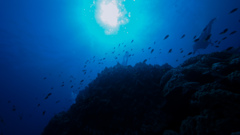 海の底