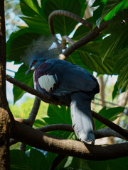 P2090450