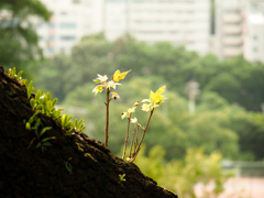 持ち歩き