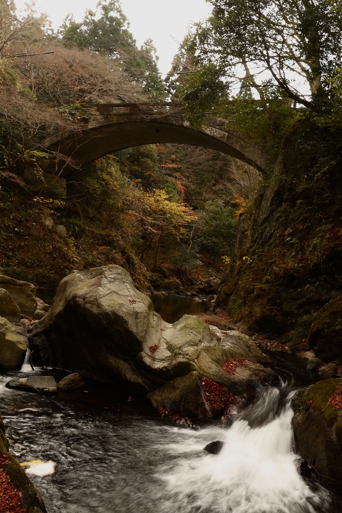河内渓谷　紅葉ほぼ終わり