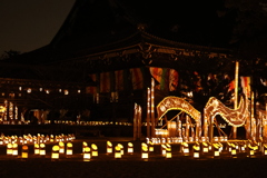 専修寺　お七夜竹あかり②