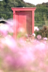 とことめの里×どこでもドア