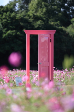 とことめの里×どこでもドア②