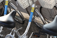 越前の足