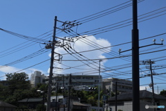 あの夏の雲