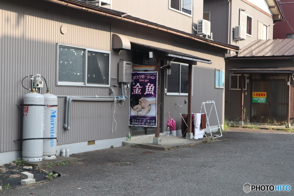 憩いの金魚