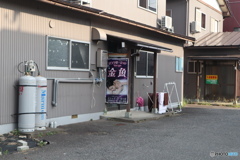 憩いの金魚