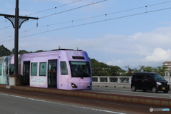 エヴァ初号機(薄め)
