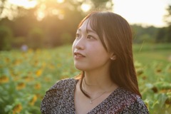 夕日と向日葵畑
