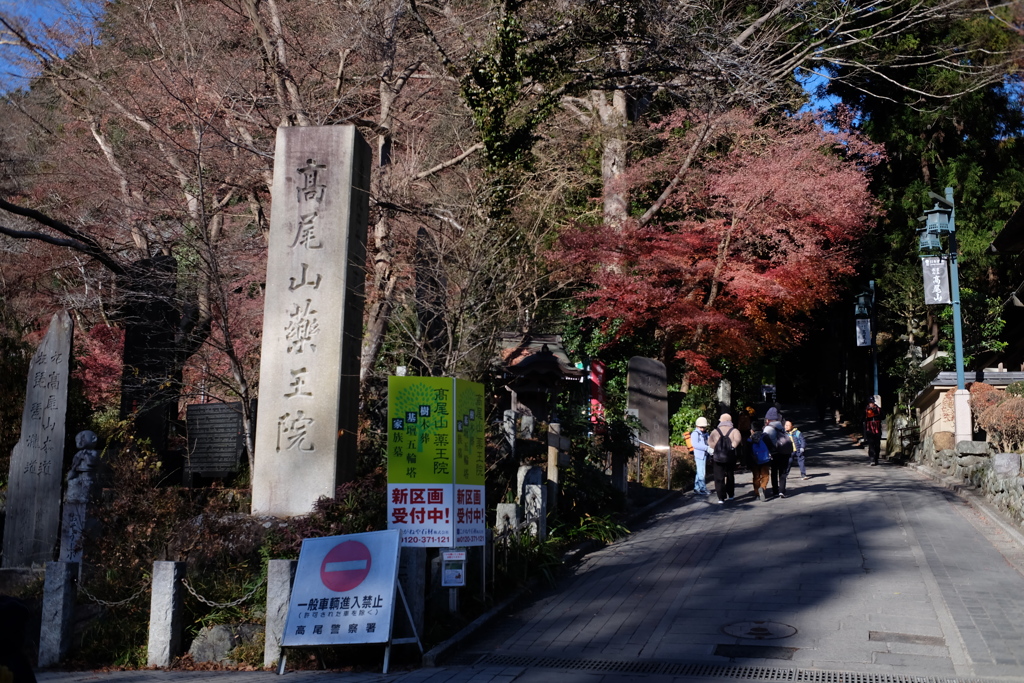 高尾山の紅葉③