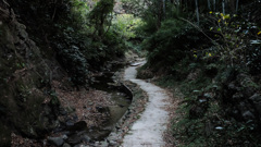 大楠山の道