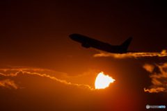 夕焼けの飛翔