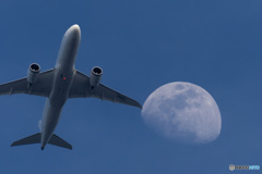 Fly me to the Moon
