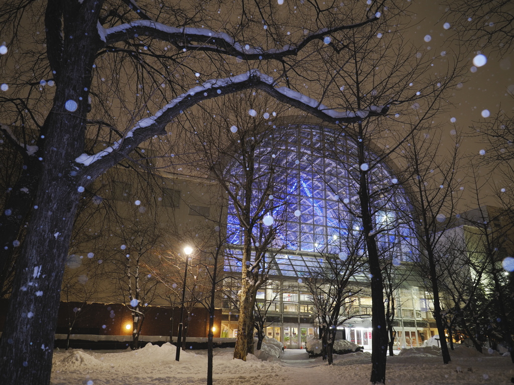 雪夜のアトリウム