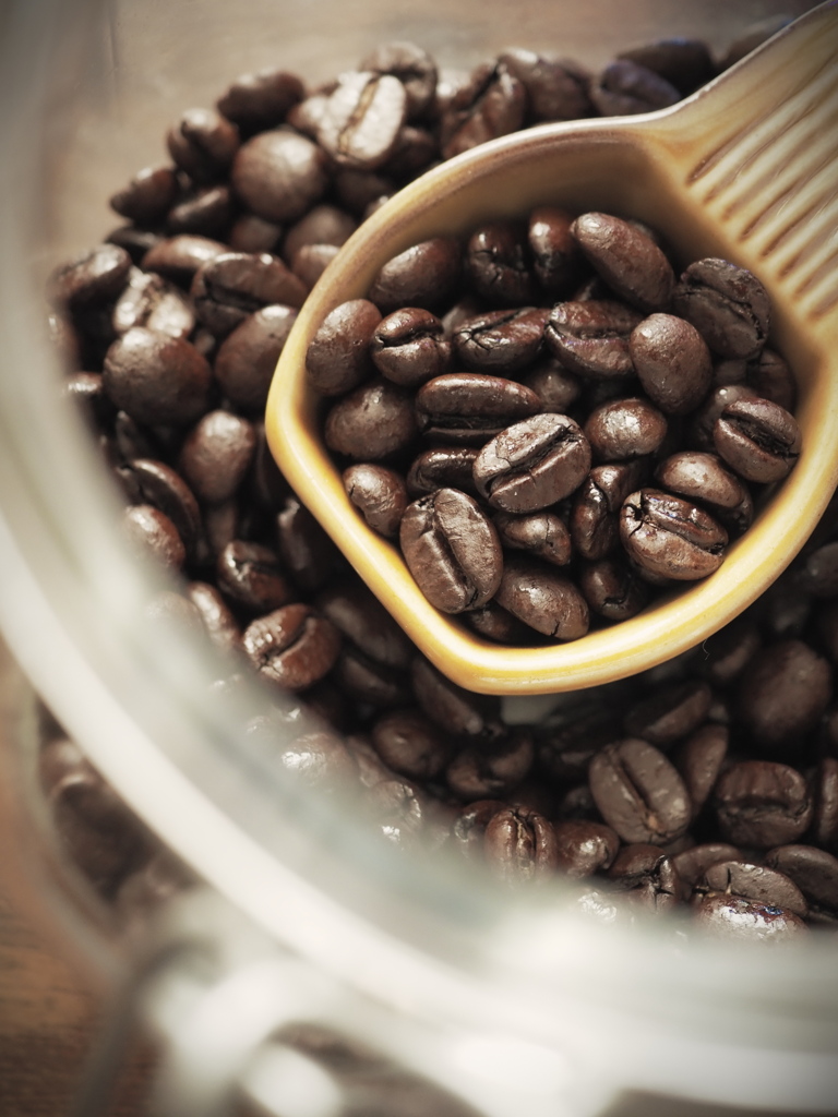 珈琲豆 -ブラジル・イエローブルボン-