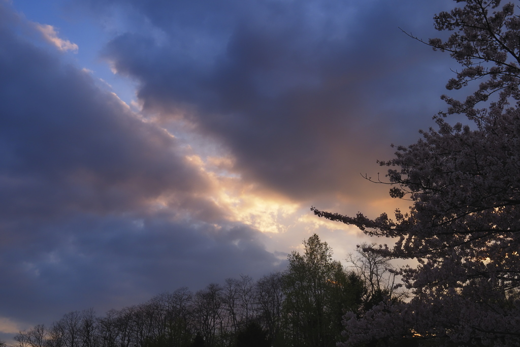 crack in the sky
