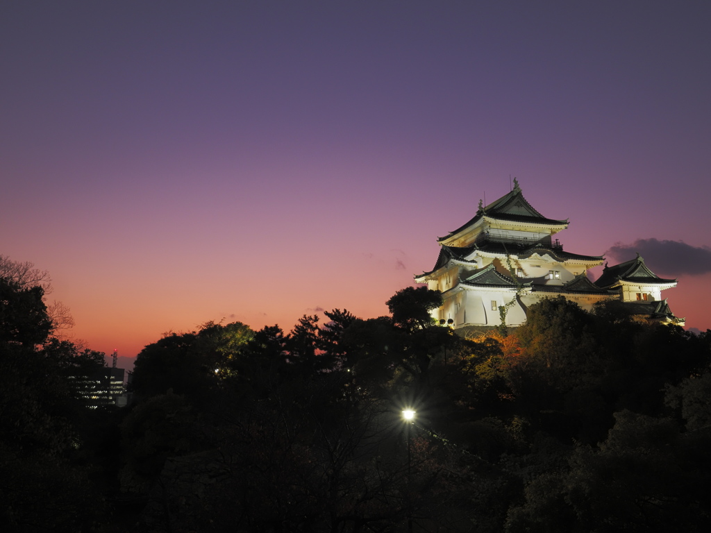 虎伏天守に薄明を見た