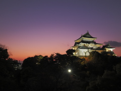 虎伏天守に薄明を見た
