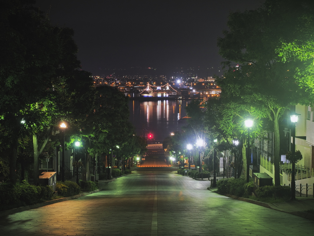 函館夜景 -季路-