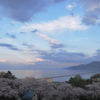 薄明望む丘より