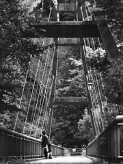 buddy on the bridge