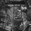 buddy on the bridge