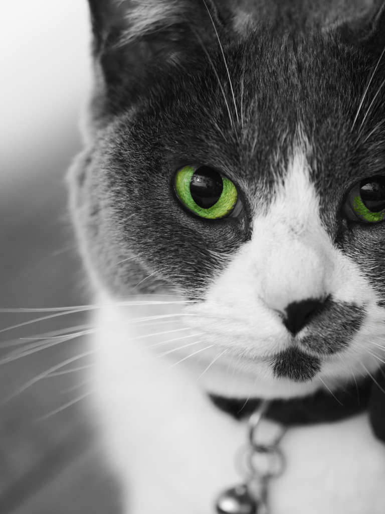 Green eyes