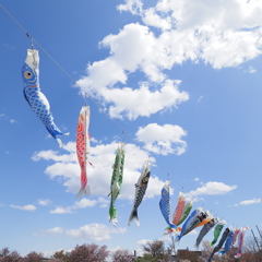 スカイスイム