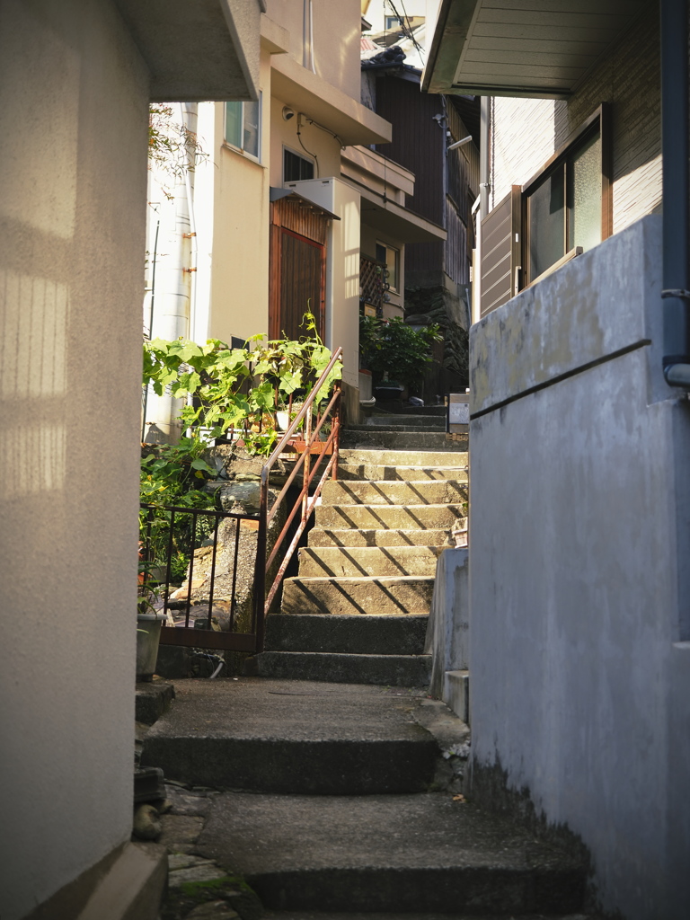 雑賀崎路地散歩