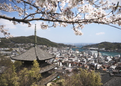 天寧寺三重塔 桜空ノ図
